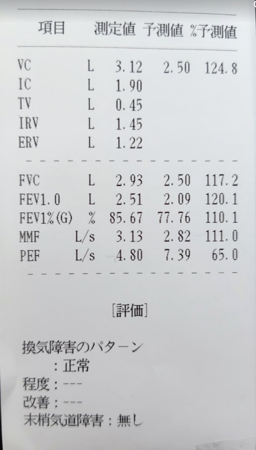 実際の肺機能検査の数値。VC124.8％、FEV1%110.1％、PEFのみ65.0％