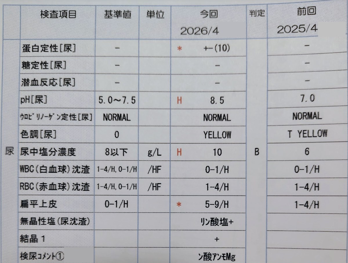 筆者自身の尿検査の結果表。pHが8.5、尿中塩分濃度が10g/L、リン酸塩とリン酸アンモニウムマグネシウムの結晶が記載されている